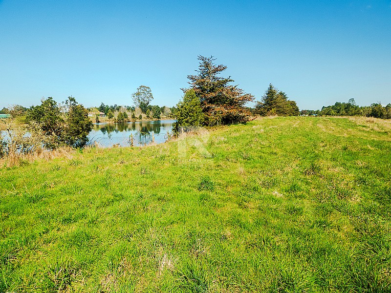 OPORTUNIDAD, PARCELA 4 HECTREAS CON LAGUNA A 10KM DE PVARAS